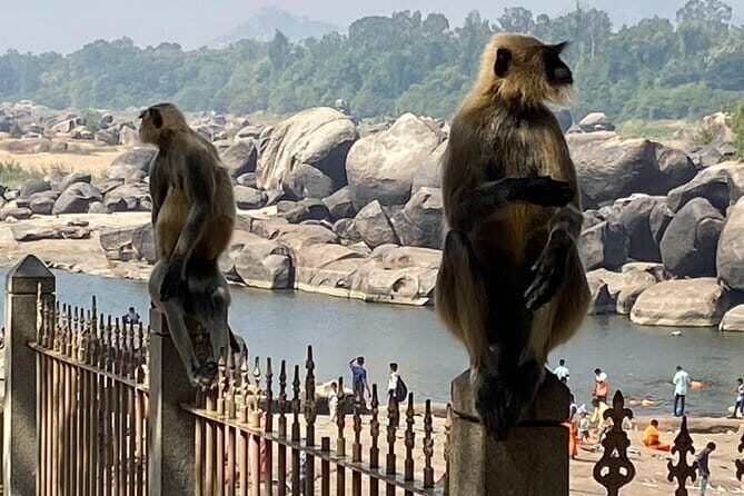 Hire a Licensed Guide for Fullday Hampi visit with own transport - Key Points