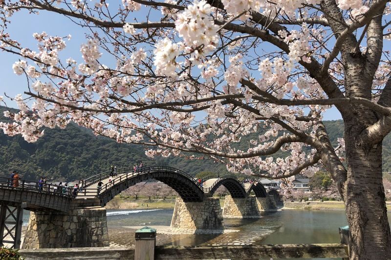 Hiroshima: 9-Hour Private Car Charter - Peace Memorial Park & Miyajima & Kintai Bridge in Iwakuni Day Trip (Departing from Hiroshima City) - Three and a half hours on Miyajima