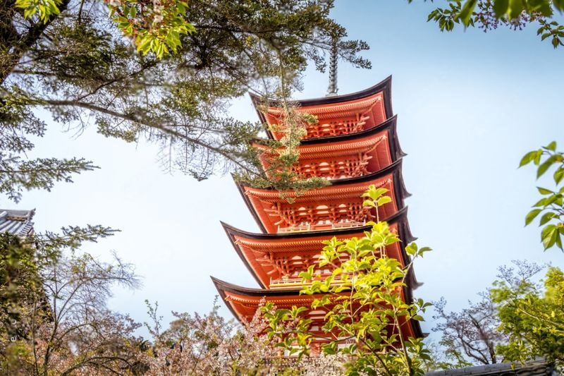 Hiroshima and Miyajima Charter Car Customizable 1-Day Trip - What the driver does, and what the driver does not