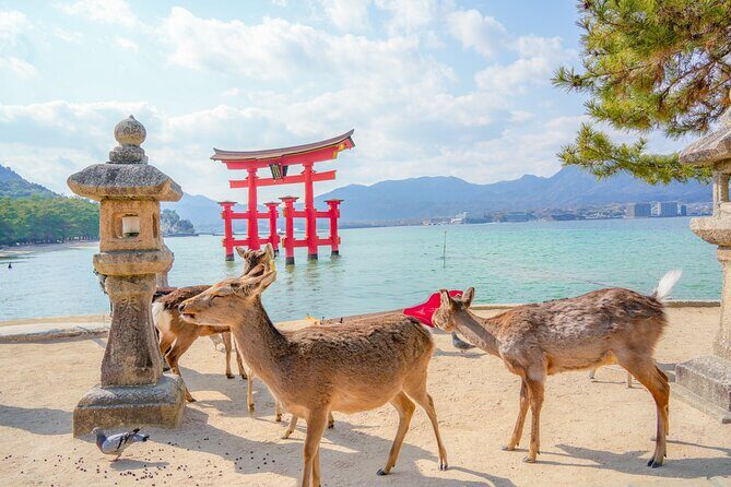 Hiroshima and Miyajima Full-Day Tour from Kyoto by Bullet Train - Who Should Book This Tour?