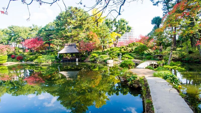 Hiroshima Custom 4-Hour Private Tour with Local Guide - Four hours is a useful introduction, not a full Hiroshima visit