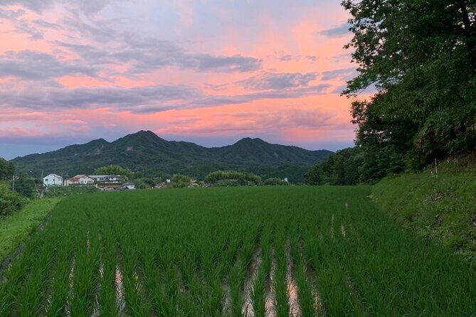 Hiroshima Forest Kyudo and Village Life Experience - Exploring Hiroshima’s Countryside Through Kyudo and Village Life