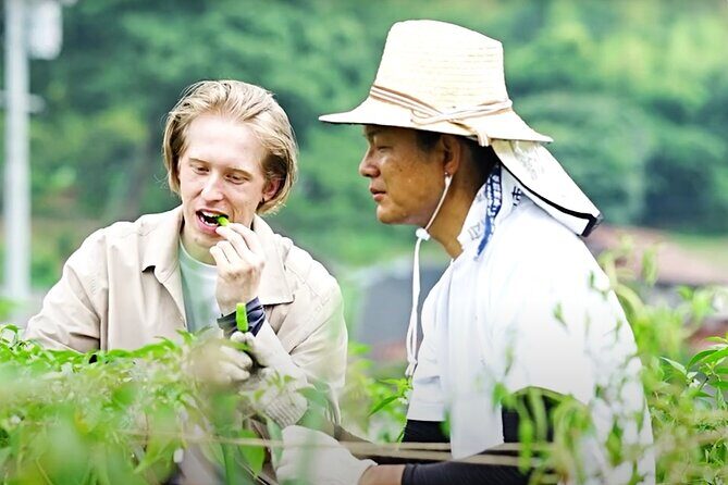 Hiroshima Forest Kyudo and Village Life Experience - Final Thoughts