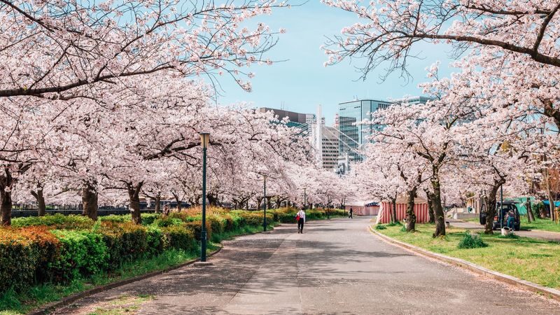 Hiroshima Full-Day Private City Exploration - Hiroshima and Miyajima in one day