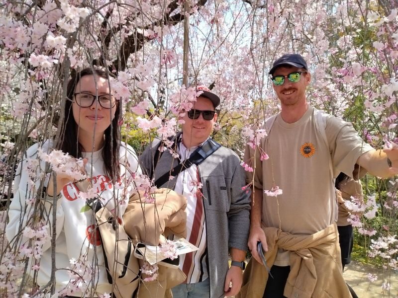 Hiroshima Full-Day Private Guided Tour with Miyajima - Does $133.95 make sense?