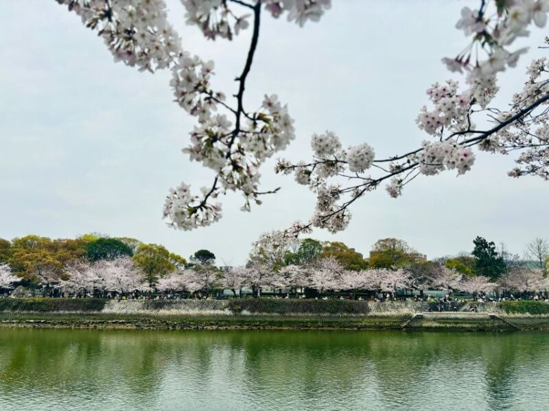 Hiroshima: History of Hiroshima Group Walking Tour - Exploring Hiroshima Through Its Heart and Stories