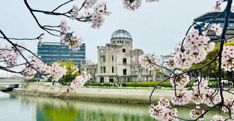 Hiroshima: History of Hiroshima Group Walking Tour - Who Will Get the Most Out of This Tour?