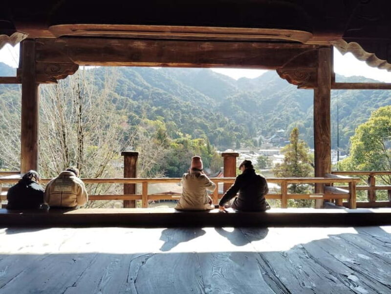 Hiroshima: Itsukushima Shrine and Miyajima Summit Tour - Who Should Consider This Tour?