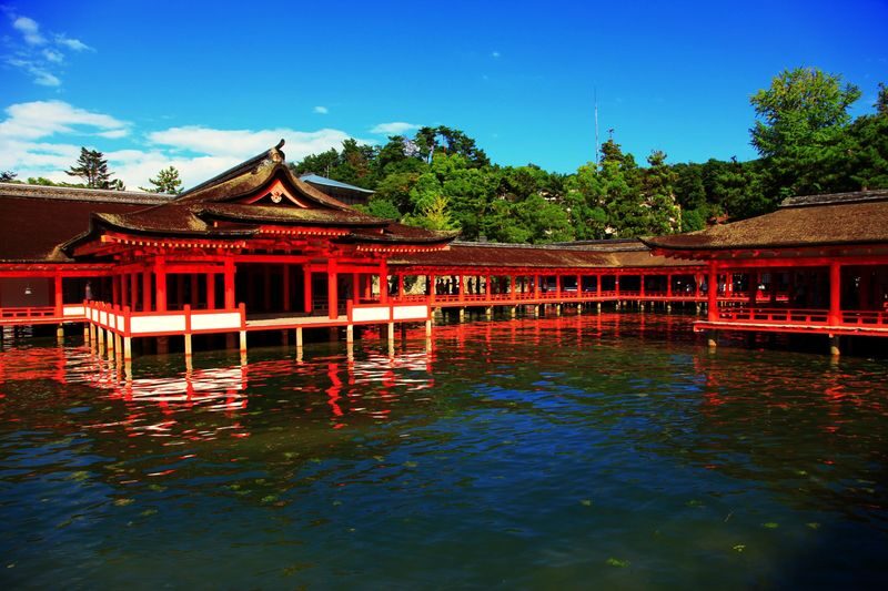 Hiroshima & Miyajima 1 Day Bus Tour With lunch - Who should book this day tour?