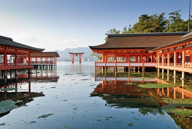 Hiroshima & Miyajima 1 Day Bus Tour with Shinkansen Train Tickets - An In-Depth Look at the Hiroshima & Miyajima 1 Day Bus Tour with Shinkansen Train Tickets
