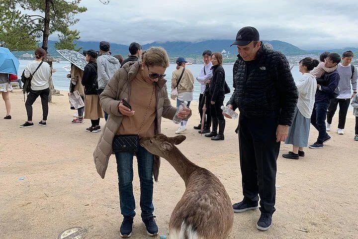 Hiroshima / Miyajima 8hr Private Tour with Government Licensed Guide - One day, two very different places