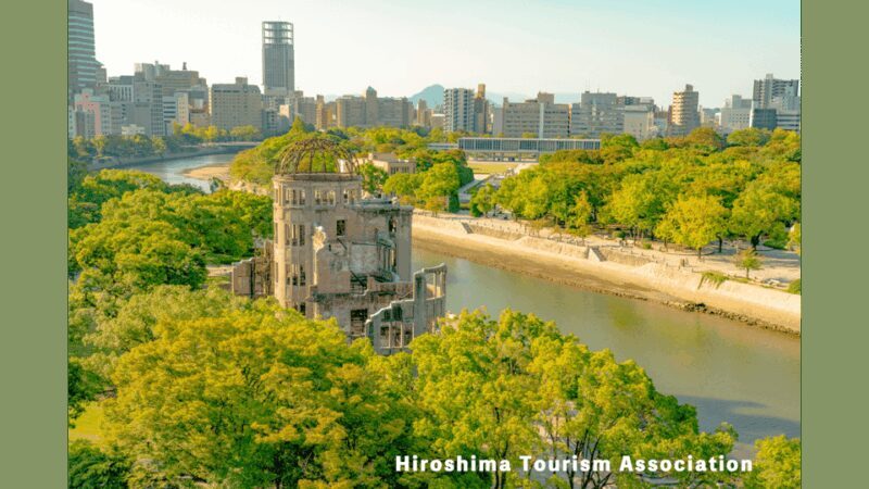 Hiroshima Miyajima and Bomb Dome Private Tour - Who Should Consider This Tour