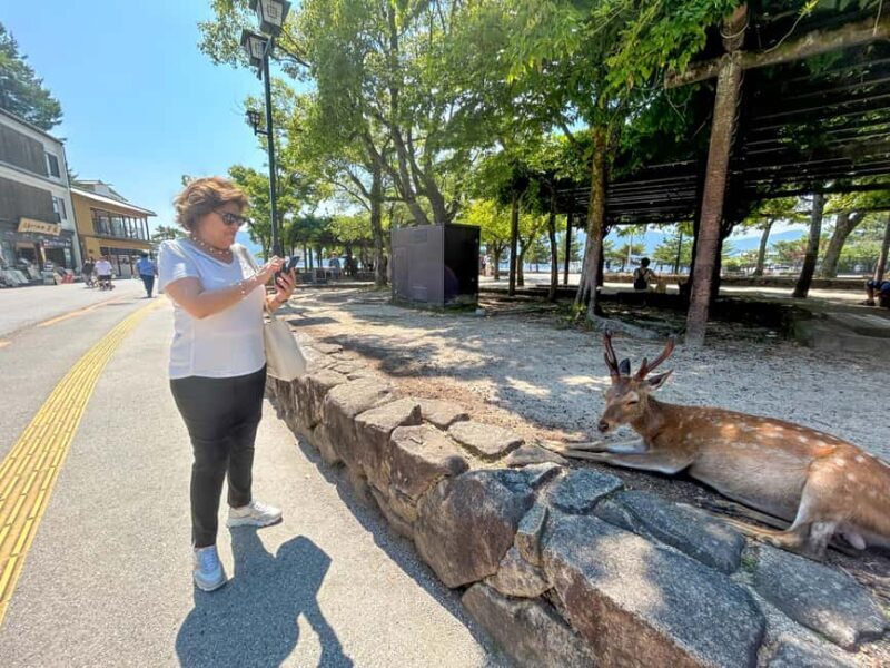 Hiroshima Miyajima and Bomb Dome Private Tour - Final Thoughts