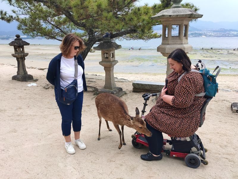 Hiroshima & Miyajima Highlights Private Day Tour - Should you book this Hiroshima and Miyajima tour?