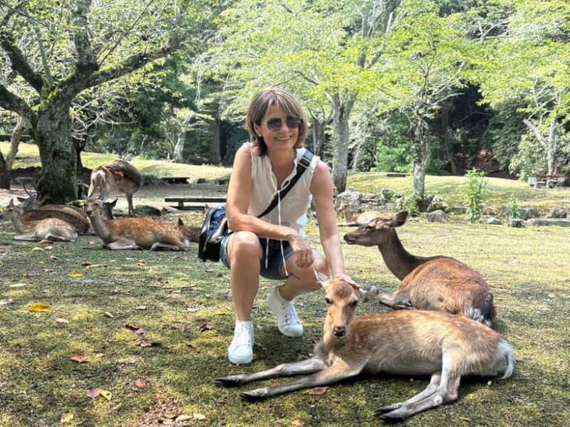 Hiroshima: Miyajima Island Half-Day Tour with Guide - Key Points