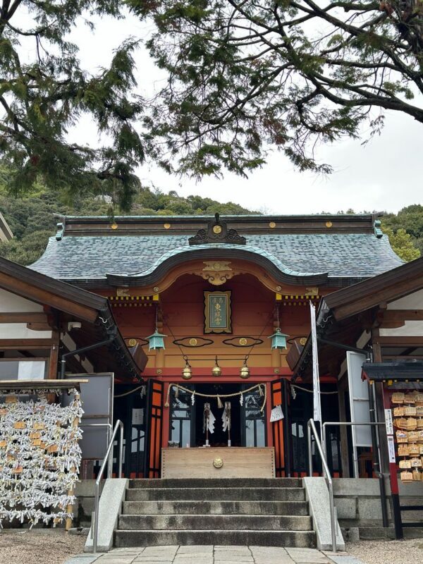 Hiroshima: Morning Hike Tour & Open-air Tea Ceremony - How much time to allow, and what to bring