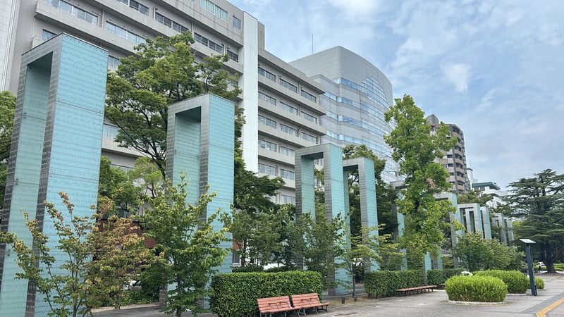 Hiroshima Peace Memorial Half-Day Private Walking Tour - What the guide can add, and where to stay thoughtful