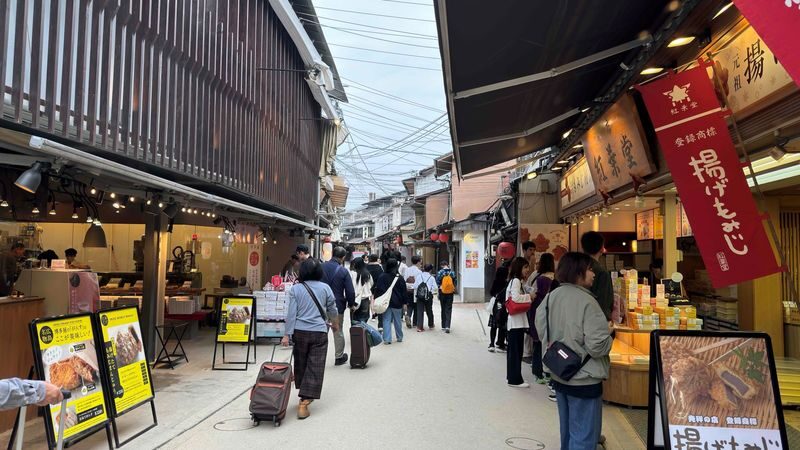 Hiroshima Peace Memorial Museum & Miyajima Itsukushima Shrine One-day Bus Tour - The Peace Park makes history personal