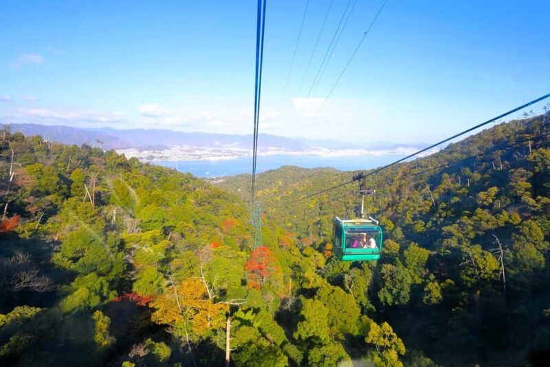 Hiroshima: Private Custom Walking Tour - Who Should Consider This Tour?