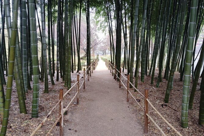 Hiroshima Shukkei-en Garden with local guide 90min - Final Thoughts