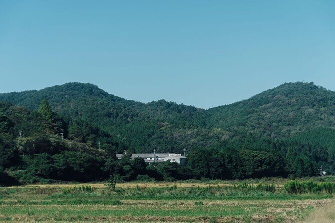 Hiroshima Wood Crafting and Photography Workshop - Exploring Hiroshima Wood Crafting and Photography Workshop in Detail