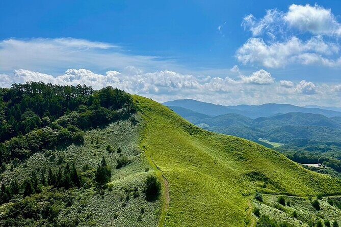 Hiroshima: Zen Hike & Matcha with a Monk in Nature - Exploring the Details: What to Expect on the Tour