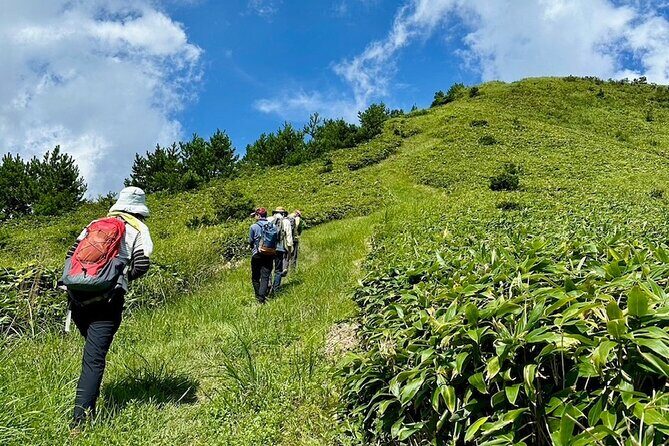 Hiroshima: Zen Hike & Matcha with a Monk in Nature - Frequently Asked Questions