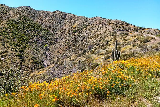 Historic 1880's Gold Mine Jeep Adventure near Scottsdale Phoenix - The Sum Up