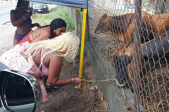 Historic and Scenic Island Tour of Antigua - Key Points