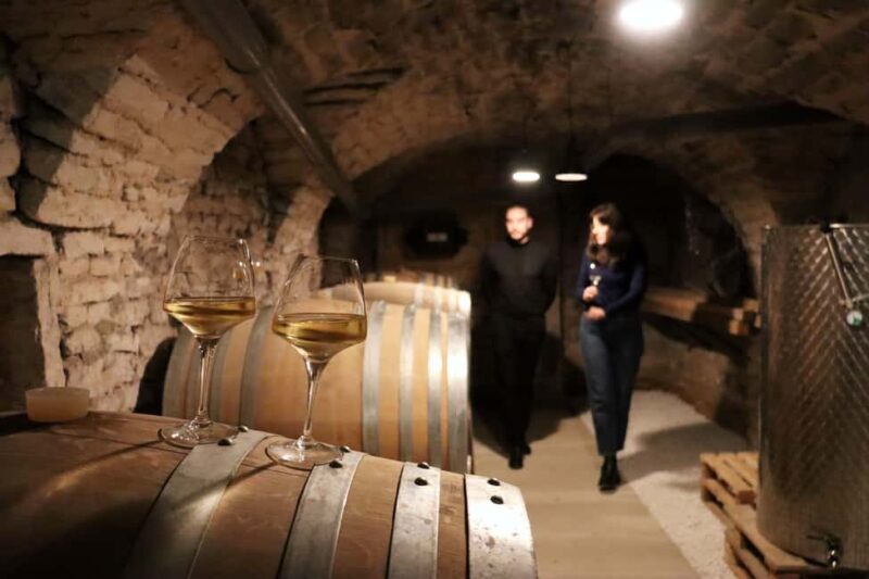 Historic Center of Dijon : Discovery Tasting Wine Burgundy - Analyzing the Value