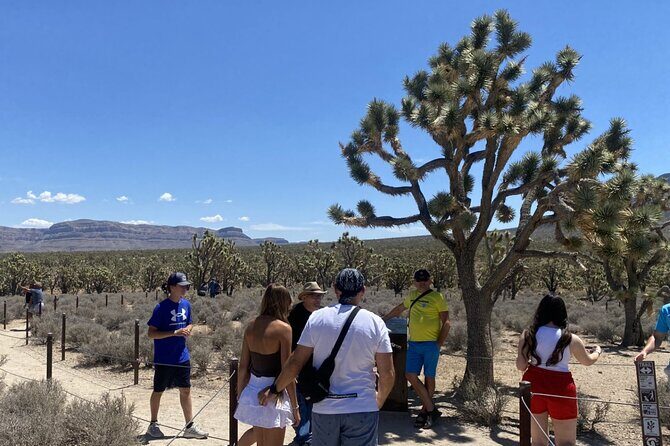 Historic Grand Canyon Western Ranch by Bus with Helicopter Tour - Exploring the Full Itinerary: What to Expect on Your Grand Canyon Day Trip