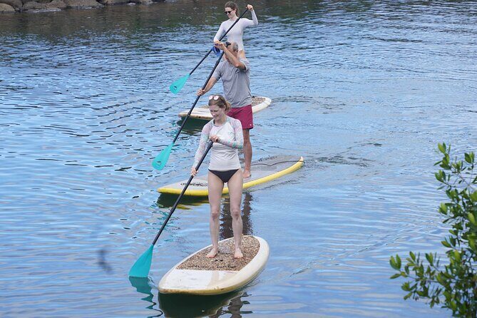 Historic Haleiwa Rainbow Bridge Stand Up Paddle (Anahulu River) - An In-Depth Look at the Haleiwa Rainbow Bridge Stand-Up Paddle Tour