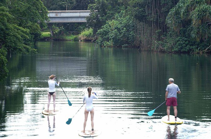 Historic Haleiwa Rainbow Bridge Stand Up Paddle (Anahulu River) - The Sum Up