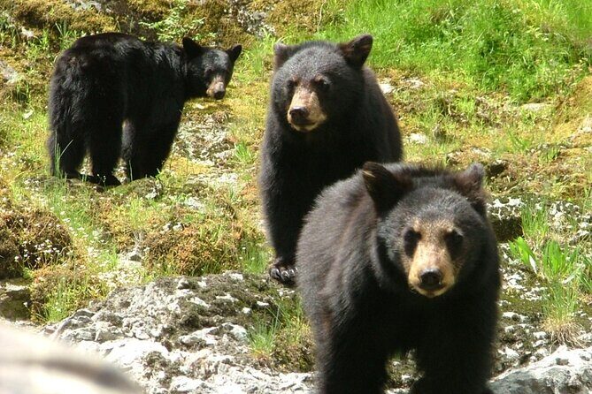 Historic Mail Route Tour - An In-Depth Look at the Rogue River Historic Mail Route Tour