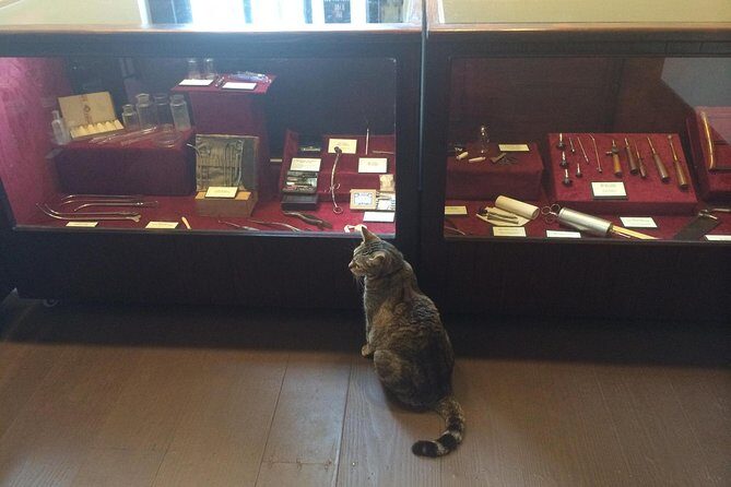 Historic Museum Tour Ticket - Practical Details and Tips