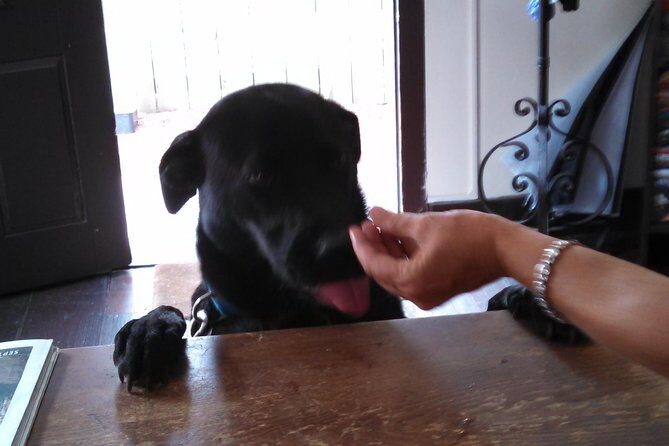 Historic Museum Tour Ticket - The Sum Up