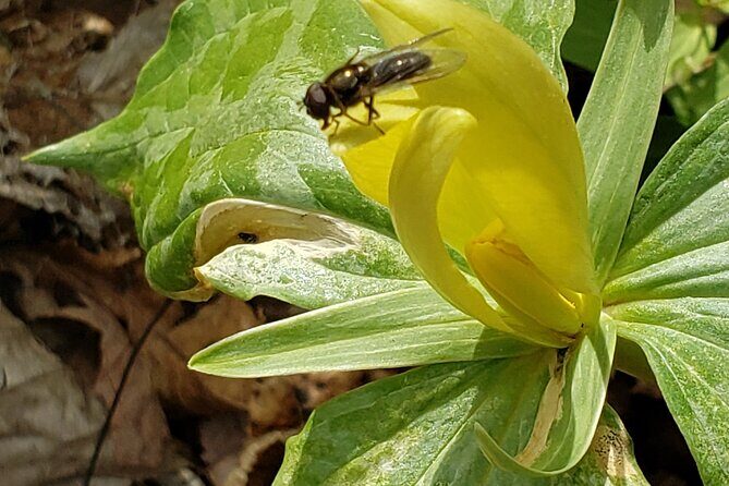 Historic River Town Ramble - In-Depth Review: What to Expect on the Historic River Town Ramble