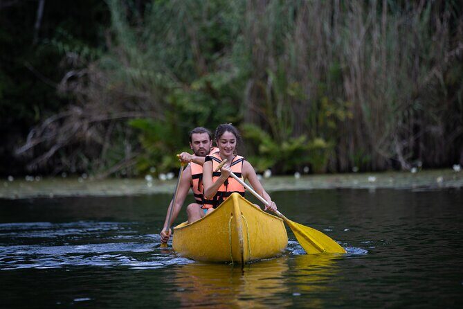 Historic Tulum, Mayan Village and Tankah Cenotes Tour - Who Will Love This Tour?