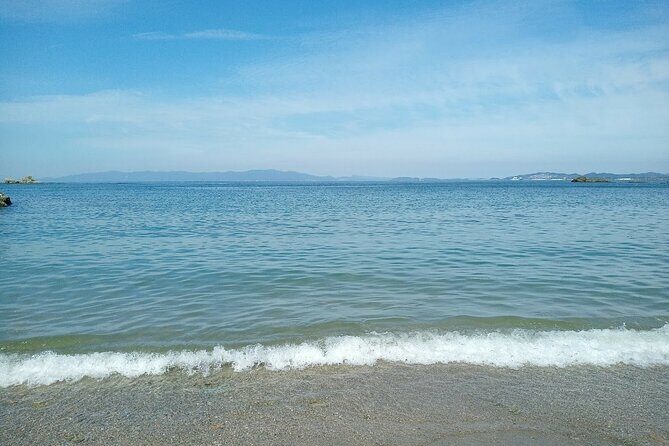 Historic Wakayama City Walking Tour - Authentic Experiences and Authenticity