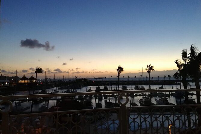 Historic Wakayama City Walking Tour - Value and Cost Analysis