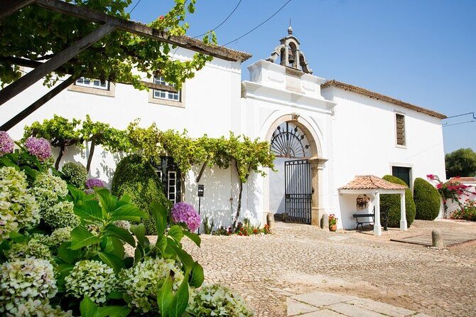 Historic Winery Tour and Tasting in Bombarral - Discover the Charm of a Historic Family-Owned Winery Near Lisbon