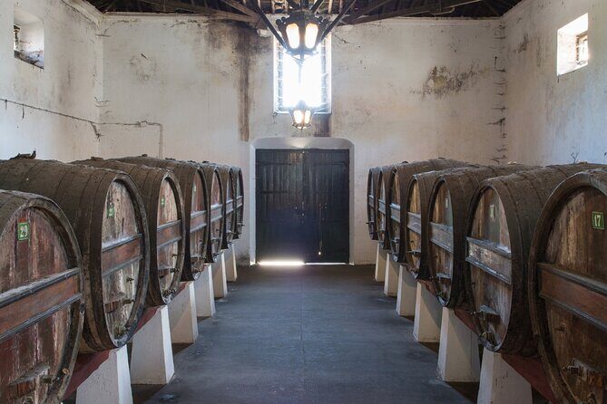 Historic Winery Tour and Tasting in Bombarral - Key Points
