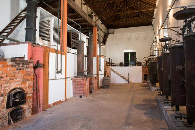 Historic Winery Tour and Tasting in Bombarral - Who This Tour Is Perfect For