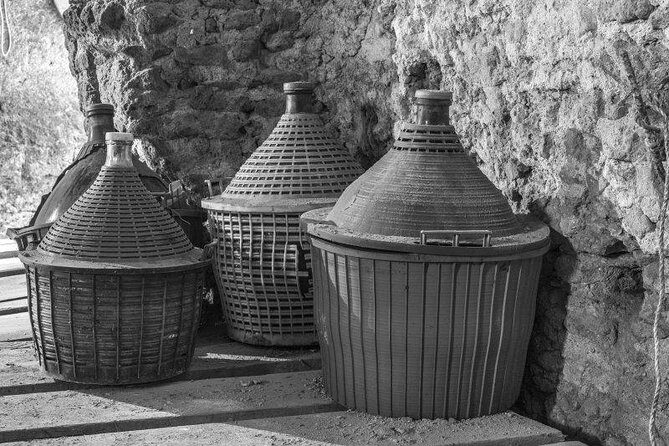 Historical and Gastronomic Tour from Naples - Who Will Love This Tour?