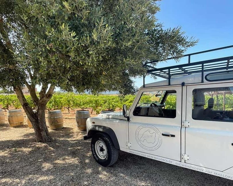 HISTORICAL BODEGA TOUR AND WINE TASTING - Potential Drawbacks or Considerations