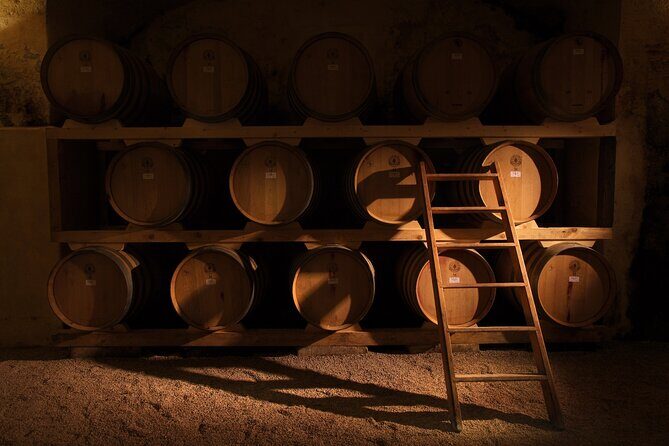 Historical Cellar Visit and Wine Tasting in Salento - An In-Depth Review of the Salento Wine Tour