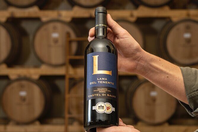 Historical Cellar Visit and Wine Tasting in Salento - Summary