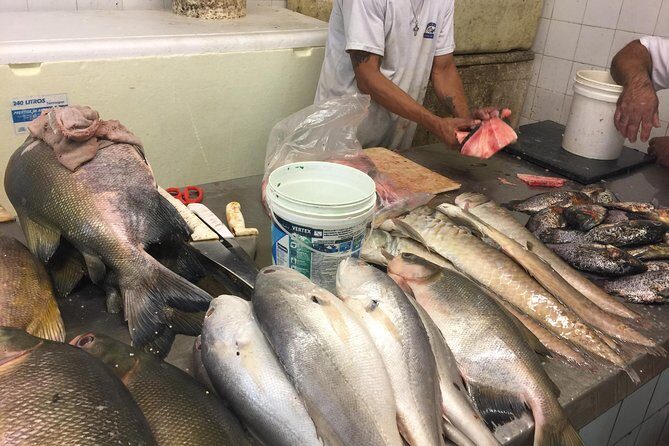 Historical City Tour - FAQ