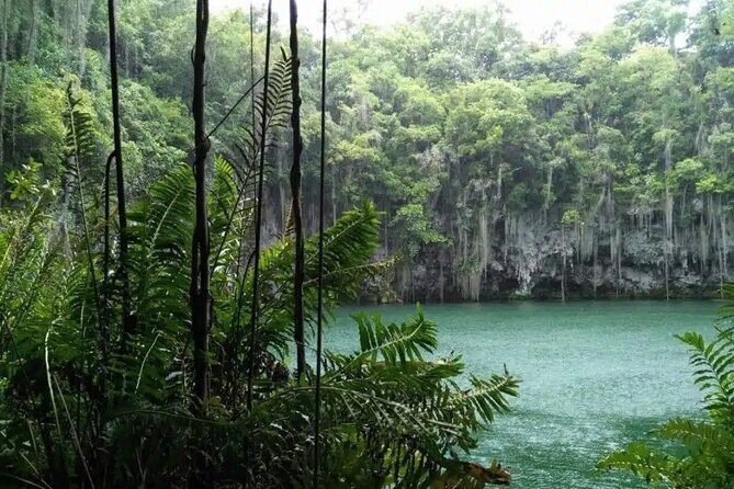 Historical Cultural and Gastronomy Adventure in Santo Domingo - Discovering Santo Domingo: A Deep Dive into the Tour Experience