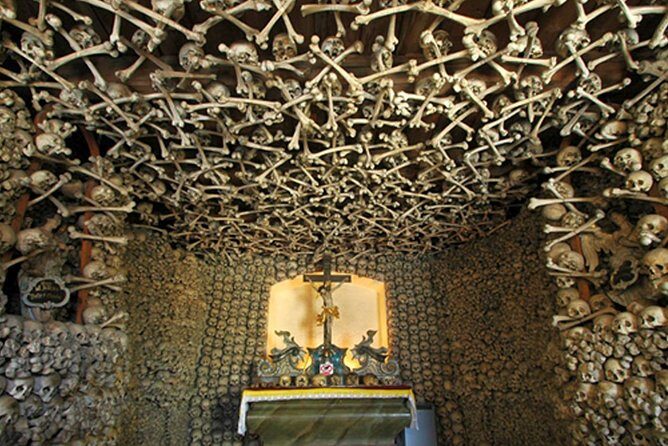 Historical Évora - PRIVATE Full Day Tour - Cork, Wine and Olive Oil Haven - A Deep Dive Into the Experience
